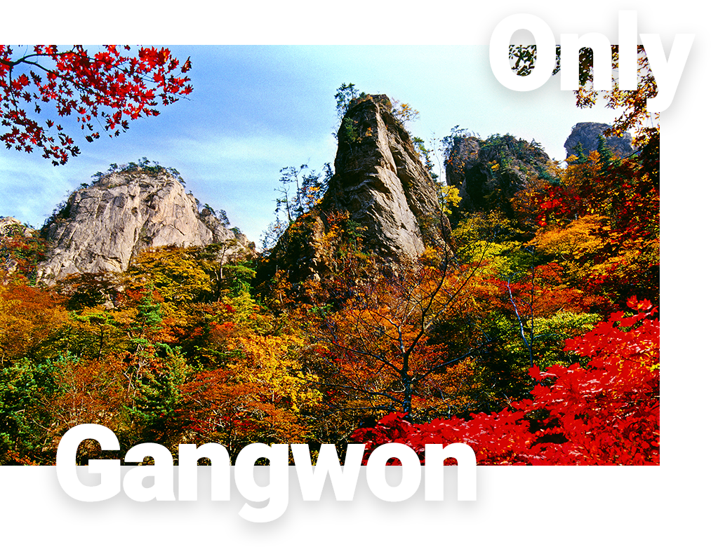 only gangwon