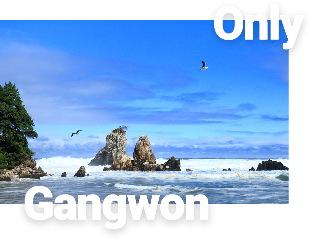 only gangwon