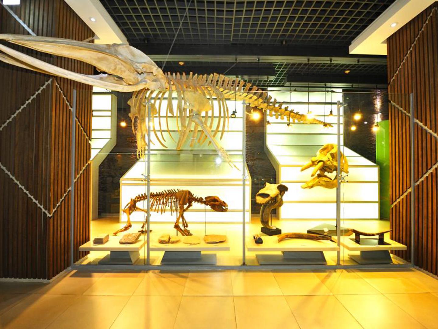Taebaek Paleozoic Museum