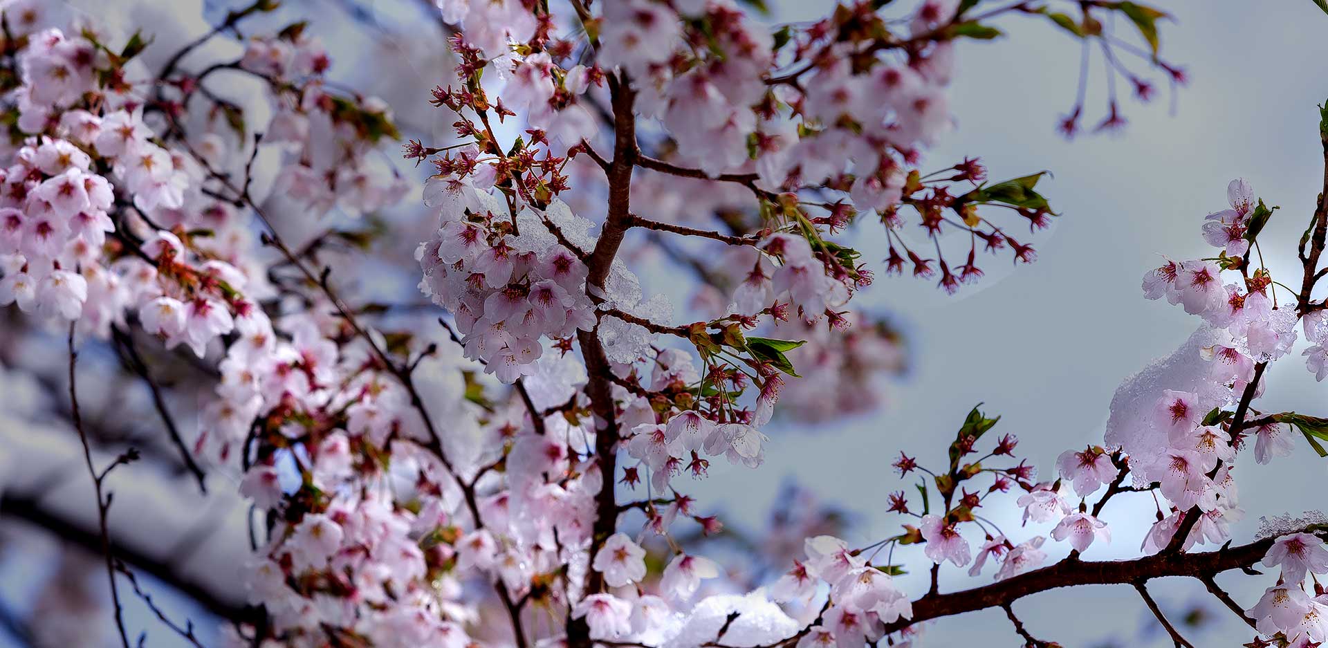 모두 강원하다!