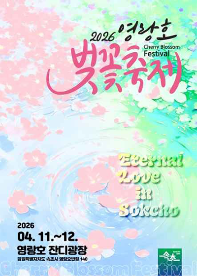 영랑호 벚꽃축제