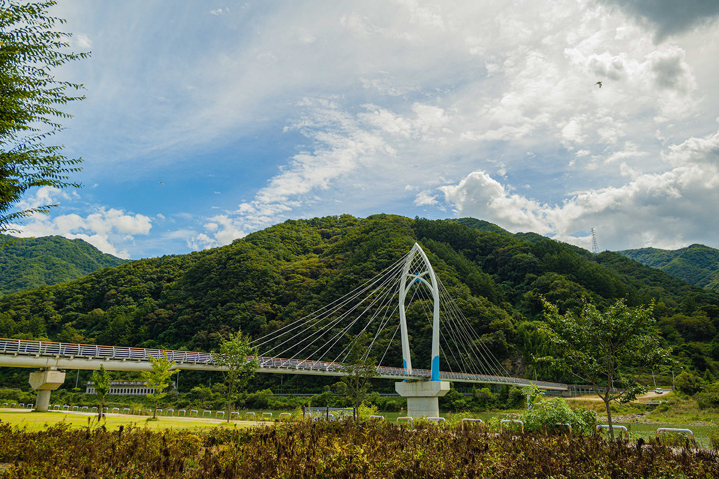 살랑교