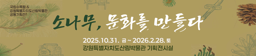 소나무,문화를 만들다