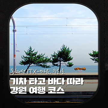 기차 타고 바다 따라 강원 여행 코스